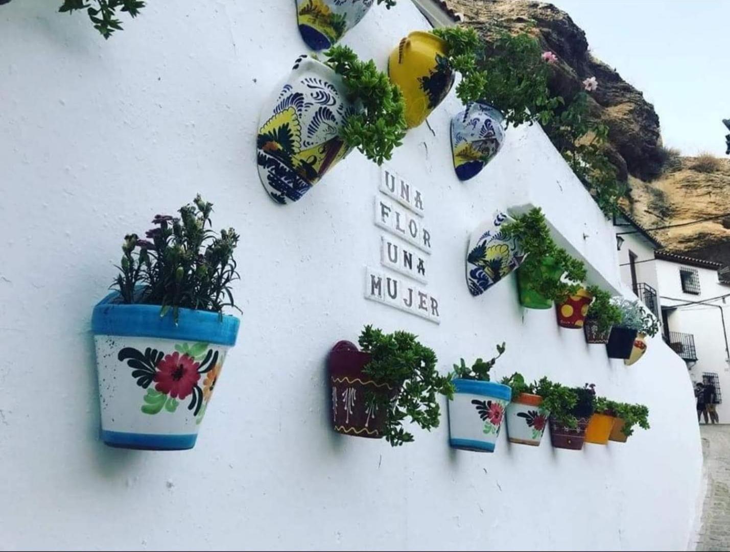 Setenil De Las BodegasLa Medina Baja公寓 外观 照片
